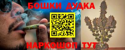 гидра Лесосибирск