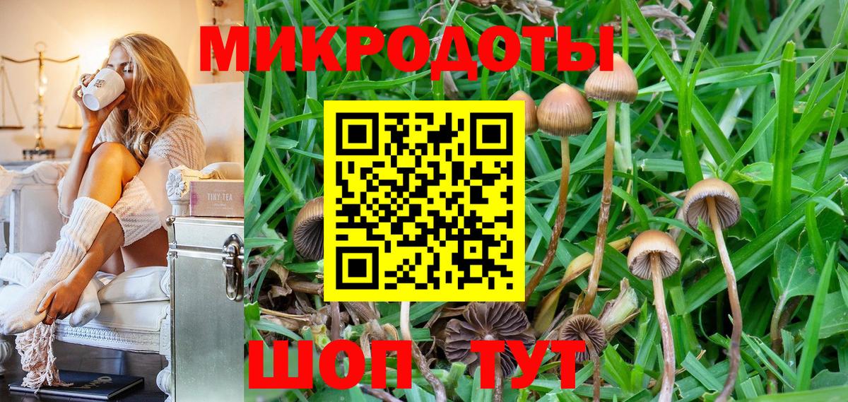 Ефремов  Псилоцибиновые грибы мухоморы  Галлюциногенные грибы GOLDEN TEACHER  Вход с VPN 